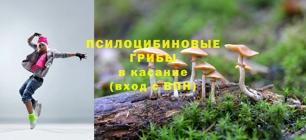 молекула духа Абинск