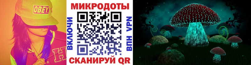 купить наркоту  Шебекино  Псилоцибиновые грибы мухоморы 